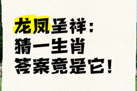 落打一生肖 落打一生肖最佳答案