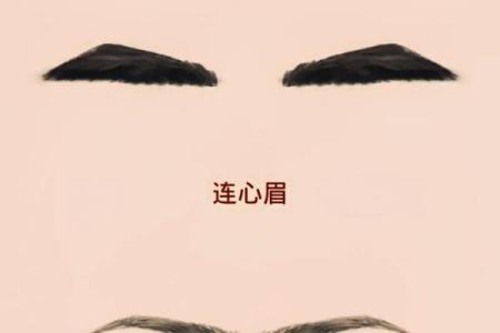 风水眉毛有什么说法 风水学眉毛