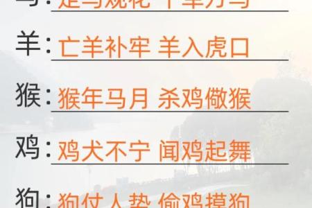天各一方代表什么生肖？寻找最准确的成语对应动物含义详解
