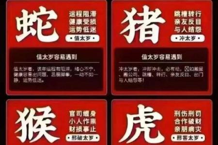女虎男蛇的属相合不合 女虎男蛇的属相合不合财