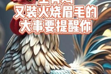 火烧眉毛代表什么生肖动物？具体含义详细说明