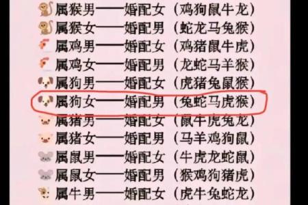 牛男兔女属相合不合 女猪男兔属相合不合