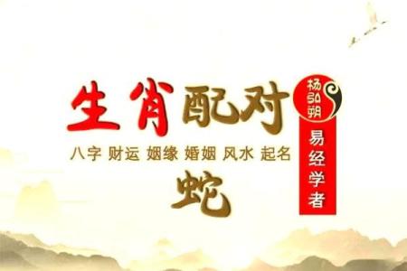 属蛇的最佳婚配表 男属蛇的人最佳配偶