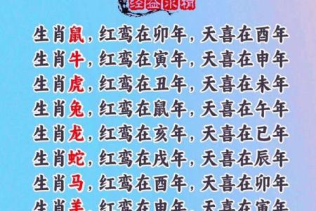 无牵无挂代表什么生肖