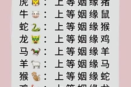 婚姻属相婚配表 婚姻属相婚配表格