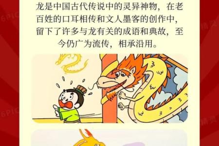 志同道合代表的生肖是什么，有没有具体的文化典故和出处？