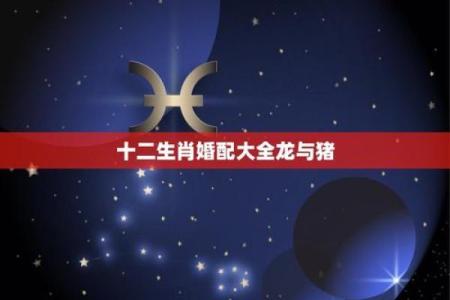 95猪和00龙属相合不合 95猪男与00龙女相配吗