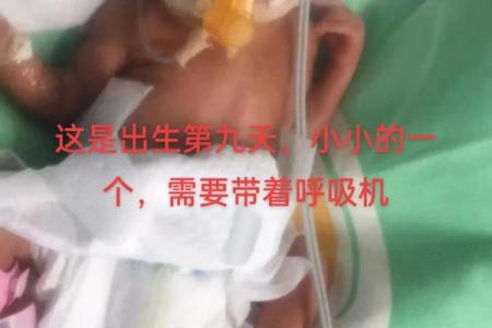 18个月几个月 18个月大概多少天