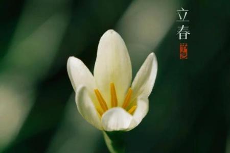 2019年哪天立春几点(2019年哪天立春什么时刻立春)