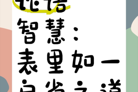表里如一打一生肖(表里如一猜一个字谜)