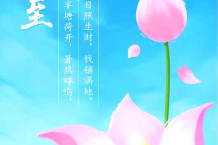 夏至是什么生肖 夏至打一正确生肖