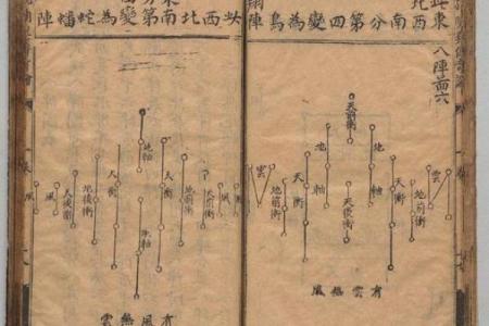堂内之马是什么意思(堂内之马还有什么马)