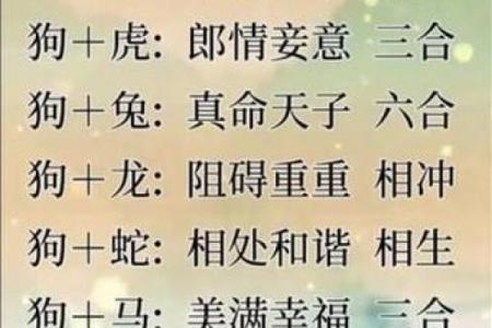 属鸡和猴的属相合不合 男猴与女鸡最终结局