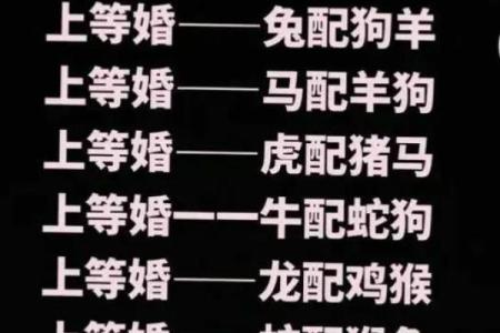 1999兔婚配最佳属相 1999兔婚配最佳属相男