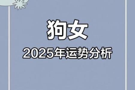 1982年属狗人2025年全年运势详解，每月运程完整版分析