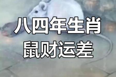1984年属鼠的人五行缺什么，如何通过风水弥补？