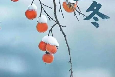 2024年立秋属于早立秋吗(2024年立冬是哪一天)