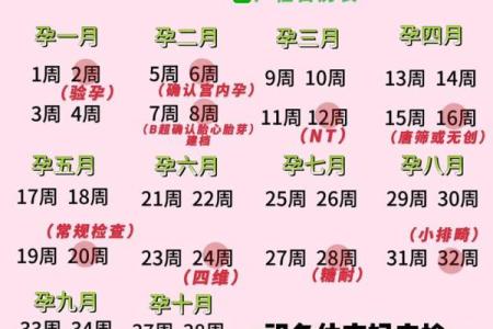 几个月了 17周是怀孕几个月了