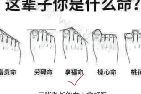 食指比无名指长的人 食指比无名指长的人占多大比例