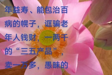 ‌晚年安康打一生肖 → 龟‌（龟龄鹤寿，无病无灾）