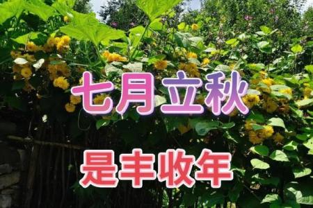 2021年立秋是几点几分几秒(2021年立秋是几点几分几秒)