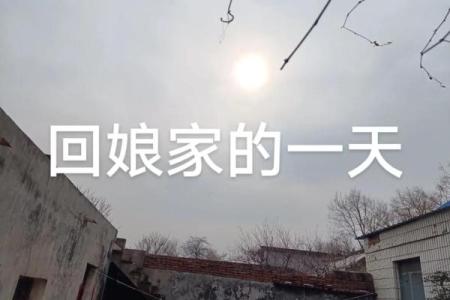 回娘家搞笑视频 回娘家搞笑视频合集