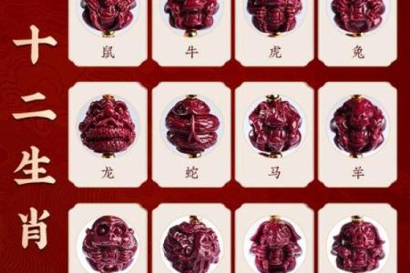 四种属相不能戴朱砂 四种属相不能戴朱砂
