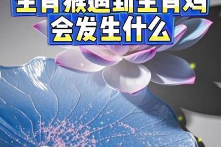 男猴和鸡女的属相合不合 男猴和鸡女的属相合不合婚