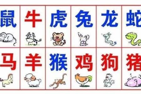 鼠和马的属相合不合 鼠和马的属相合不合 在一起好吗
