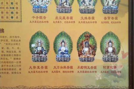南山之寿指的是哪个生肖？传统文化中的寓意详解