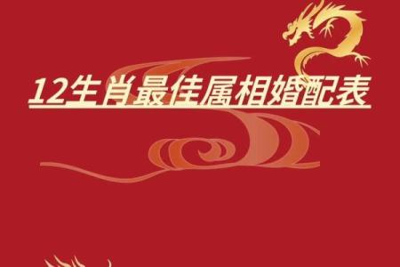 1987年属什么生肖的最佳配偶 1972年属什么生肖配对最好