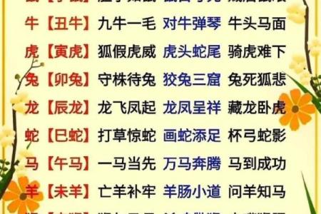 从滴水不漏着个成语来推测，它最可能对应十二生肖中的哪一个？