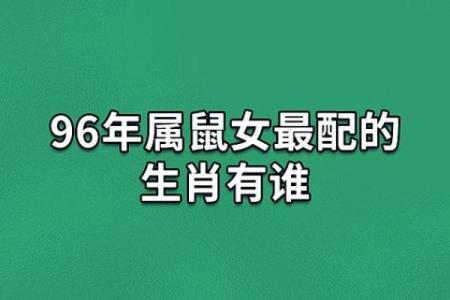 96属鼠适合哪年添子 属鼠干什么一碰就发财