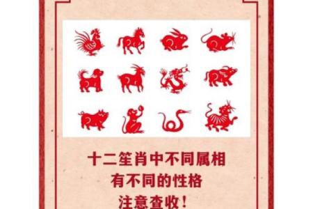 从生肖角度解析严父慈母的性格特质对应哪些属相？