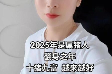 属猪的多大年龄 2025属猪的年龄表