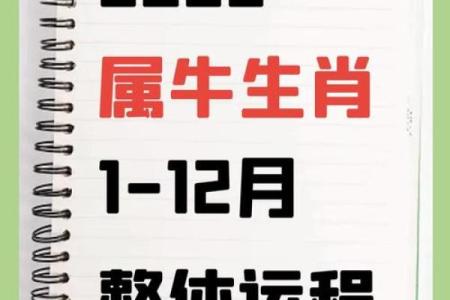 几月出生最好 属牛的几月出生最好
