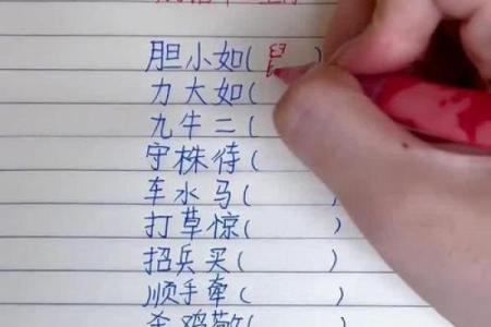 披星戴月成语最准确对应的生肖动物是什么答案揭晓