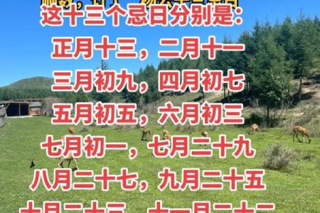 杨公忌日一定不好吗 杨公忌日可信吗