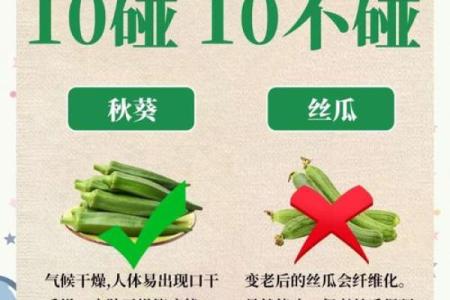 立春时间2021几点几分(立春时间2021几点几分吃什么)