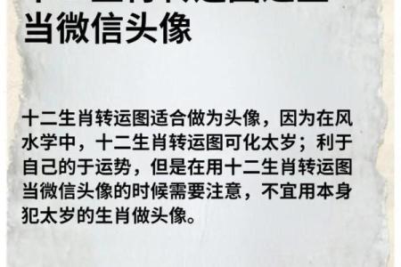 敢在太岁头上动土 敢在太岁头上动土指什么生肖