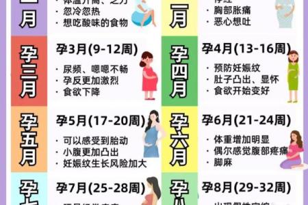 是几个月 8周是几个月