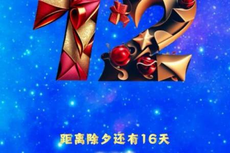 12月25日是什么节日？它在中国有哪些特别的庆祝方式？