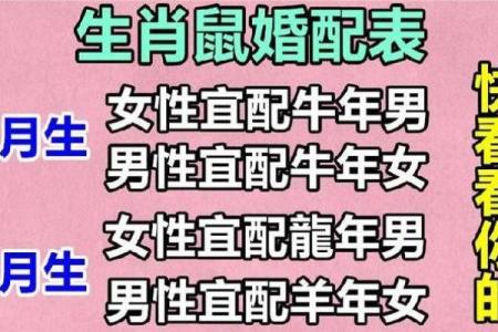 1984年出生的属鼠人婚配属相详细解析与建议
