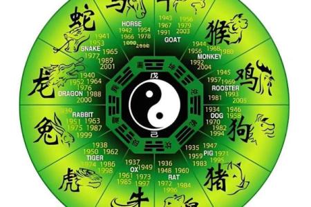 七手八脚打一个生肖(七手八脚打一个生肖)