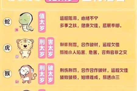 属猴生在几月好 属猴的人几月出生最好