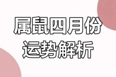 2025年属鼠人的全年每月运程完整版精准分析