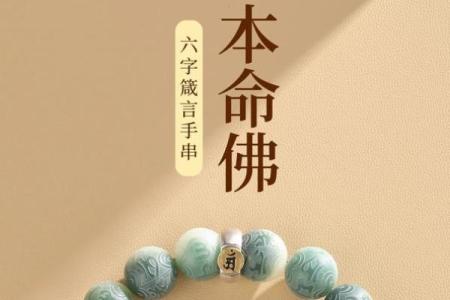白玉菩提最忌三种属相 白玉菩提的禁忌