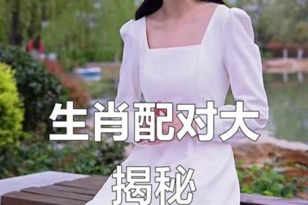 老鼠和兔子的属相合不合 老鼠和兔子的属相合不合婚姻