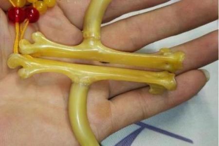 炙手可热是什么生肖 炙手可热打一正确生肖