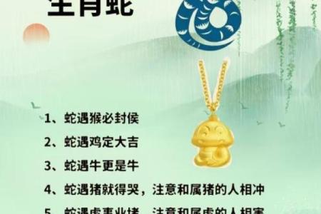 一眼关七代表什么生肖(一眼关七粤语)